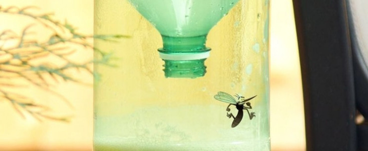 Москиты: простая ловушка для комаров